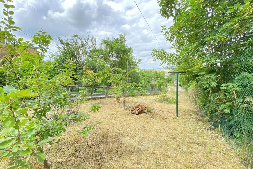 Appartement Rez-De-Chaussee Laon Dış mekan fotoğraf